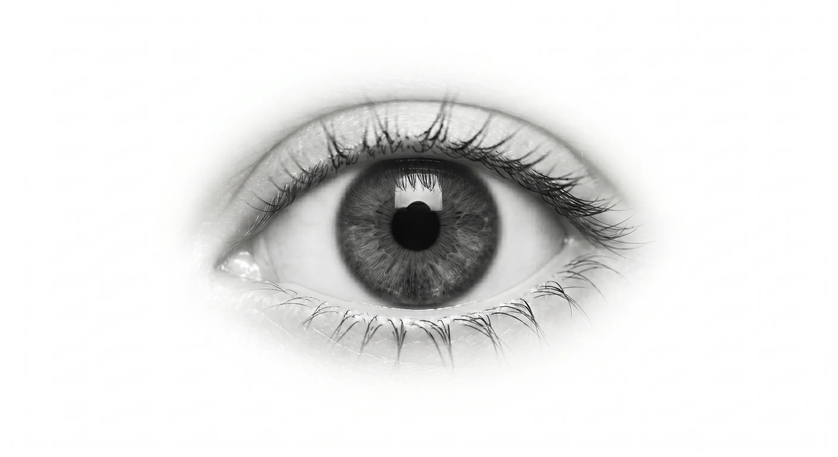 Glaucoma Screening evaluation